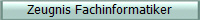Zeugnis Fachinformatiker